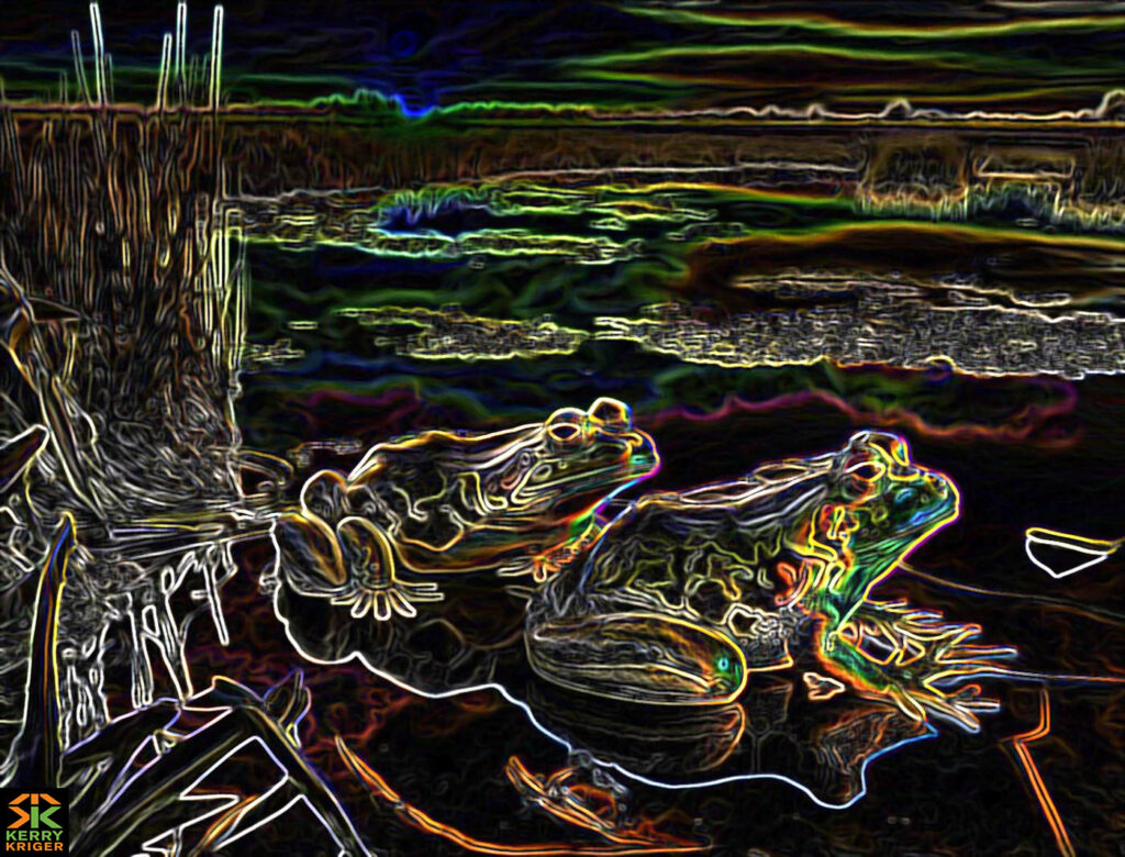 walk on wildside frogs midjourney kerry kriger art sunset wetlands glowing edges 1400 logo